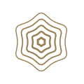 Image mandala